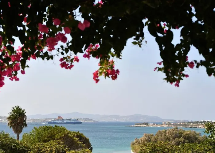 Beachfront-santa Marina Vacation * Parikia (Paros)